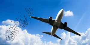 travelling, darbhanga airport, cheap flight
