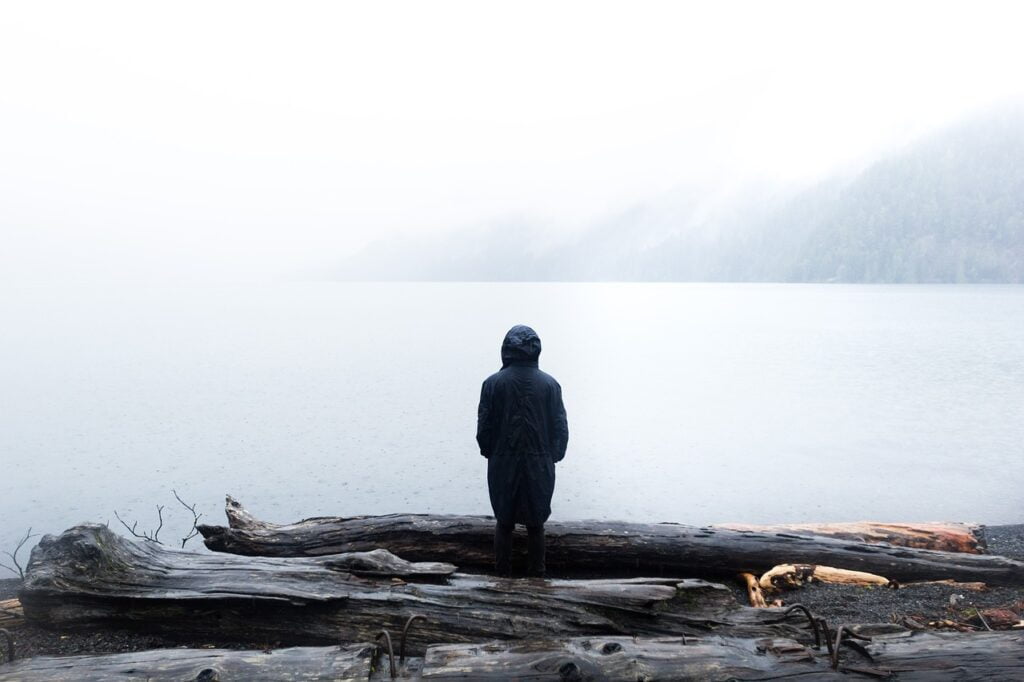 lake, logs, nature, travel solo